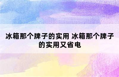 冰箱那个牌子的实用 冰箱那个牌子的实用又省电